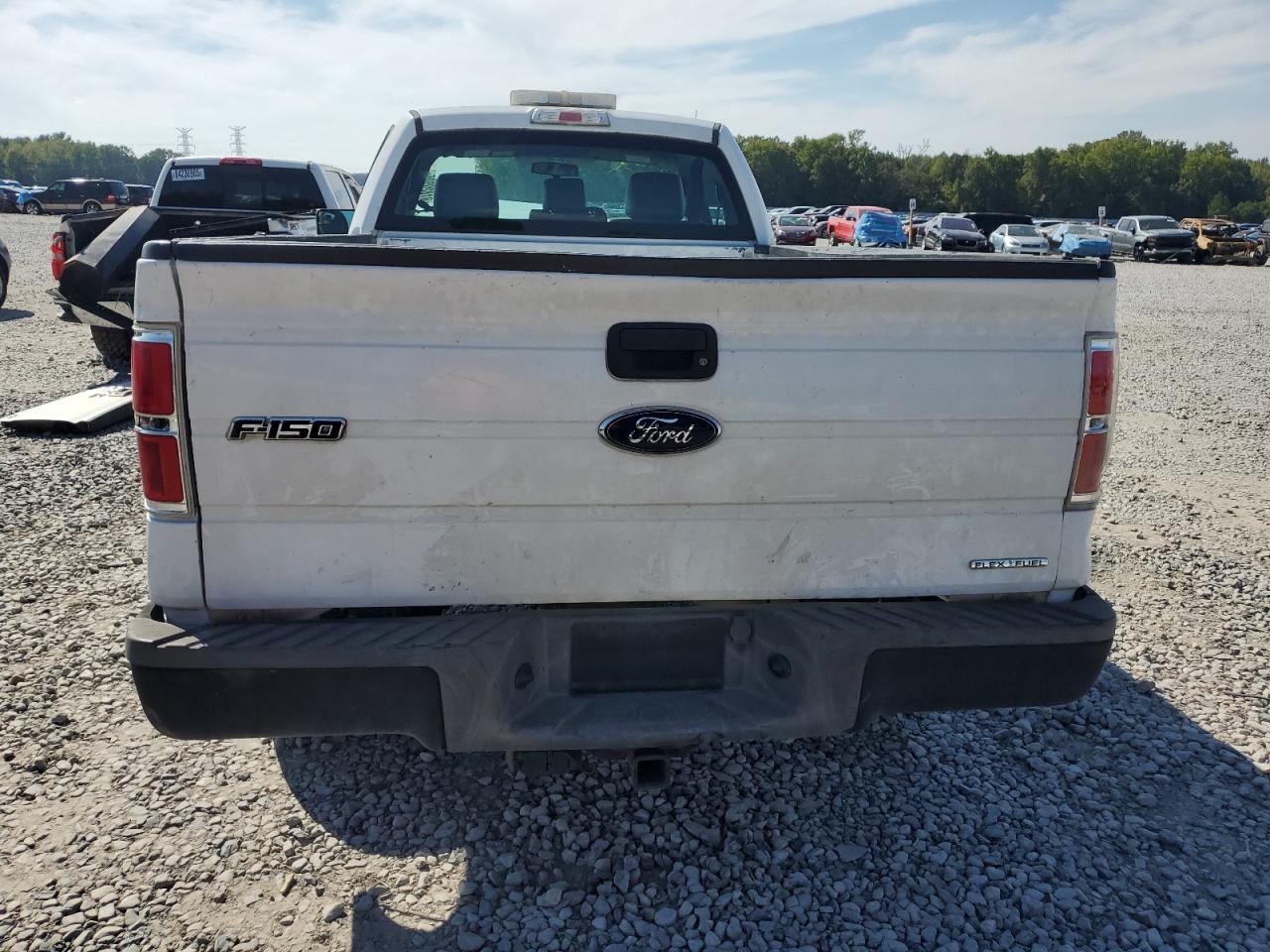 2013 Ford F150 VIN: 1FTNF1CF6DKF06050 Lot: 81820525