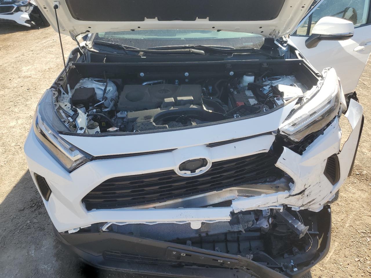 2025 Toyota Rav4 Xle VIN: 2T3P1RFV0SC510349 Lot: 83828765