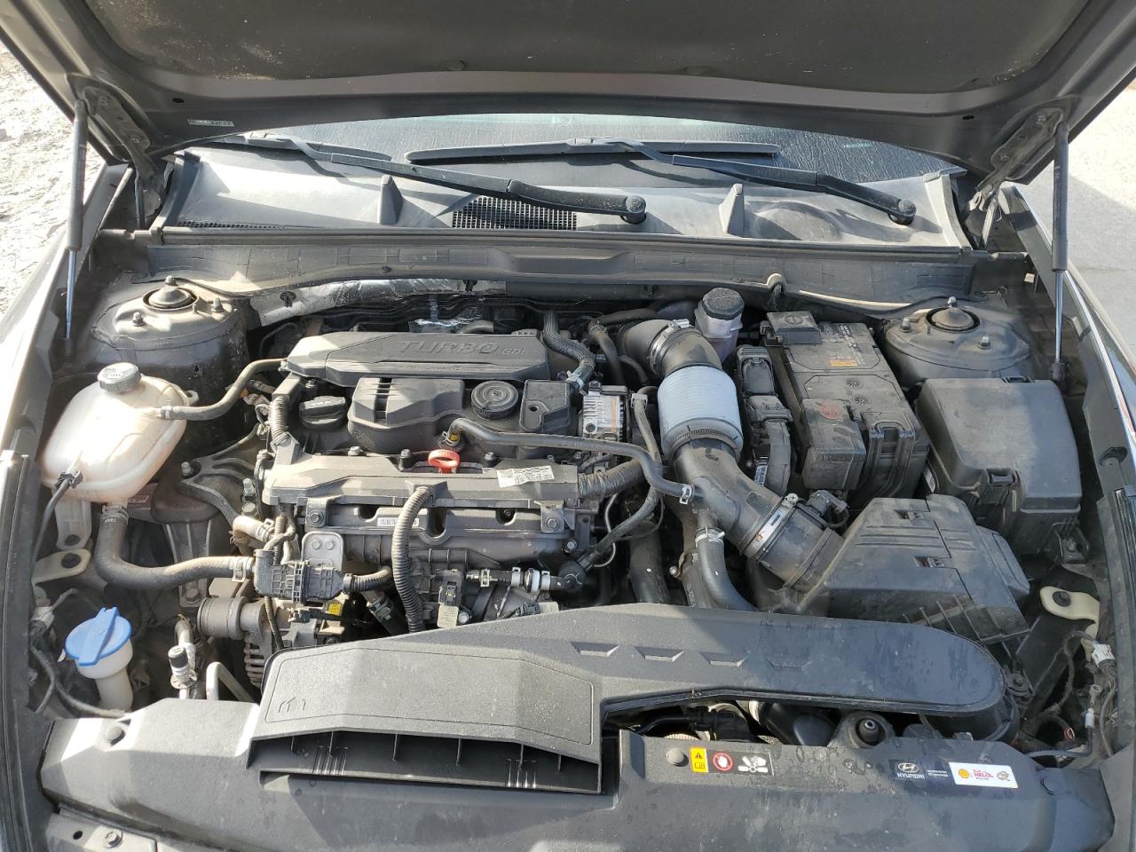 2023 Hyundai Sonata Limited VIN: KMHL34J21PA316423 Lot: 81676585