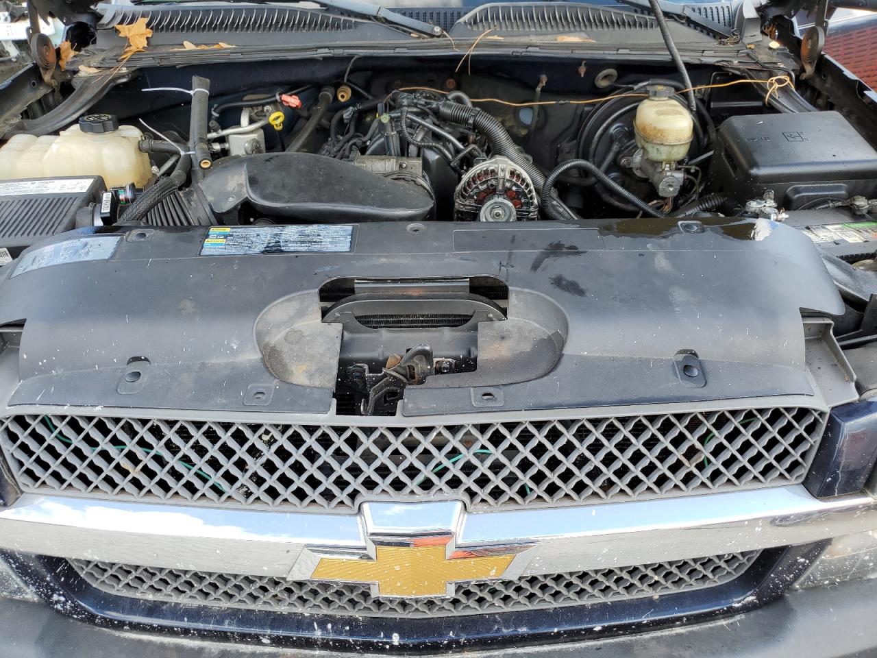 2005 Chevrolet Silverado K1500 VIN: 1GCEK14V35Z285999 Lot: 84040875