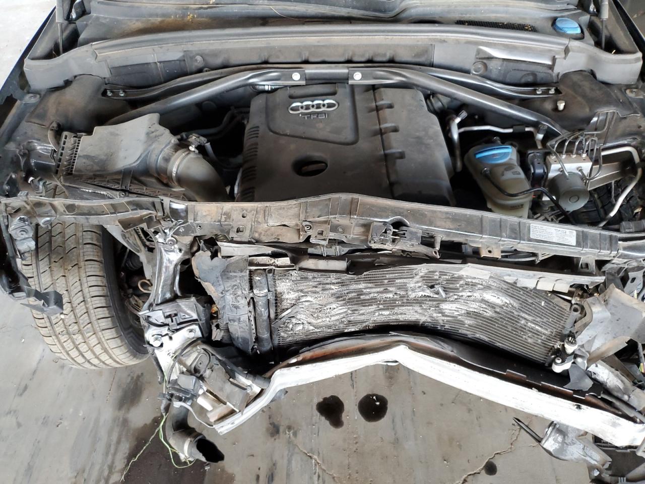 2014 Audi Q5 Premium Plus VIN: WA1LFAFP9EA127850 Lot: 80589085