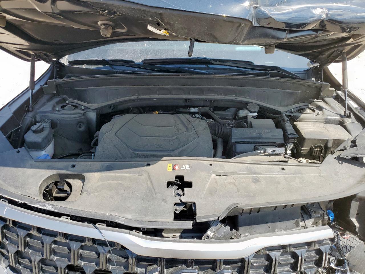 2023 Kia Telluride Sx VIN: 5XYP5DGC0PG375737 Lot: 80712535