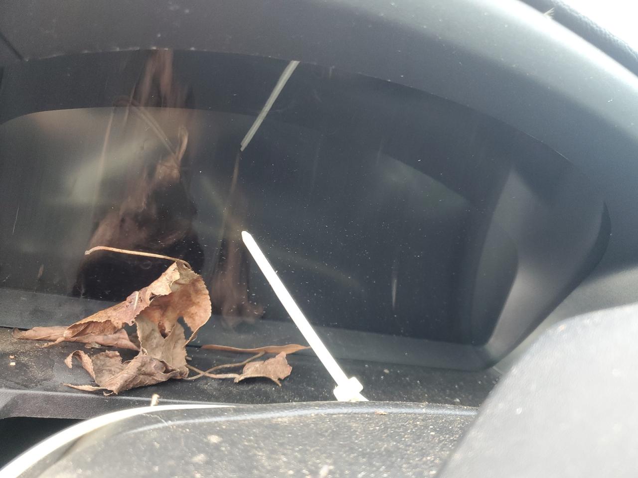 2021 Ford Explorer St VIN: 1FM5K8GC2MGA01724 Lot: 84536725