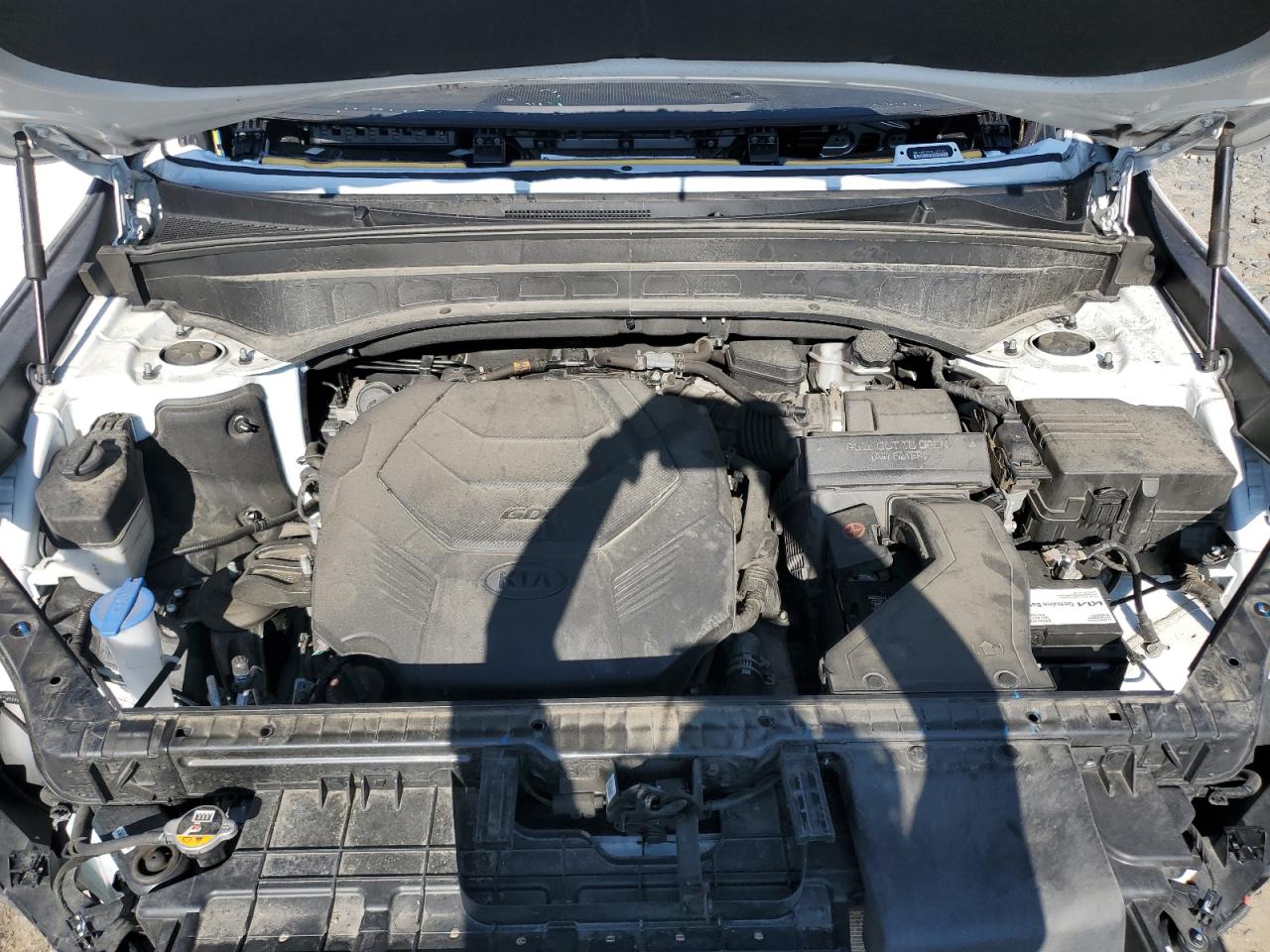 2020 Kia Telluride Ex VIN: 5XYP3DHCXLG092521 Lot: 70529095