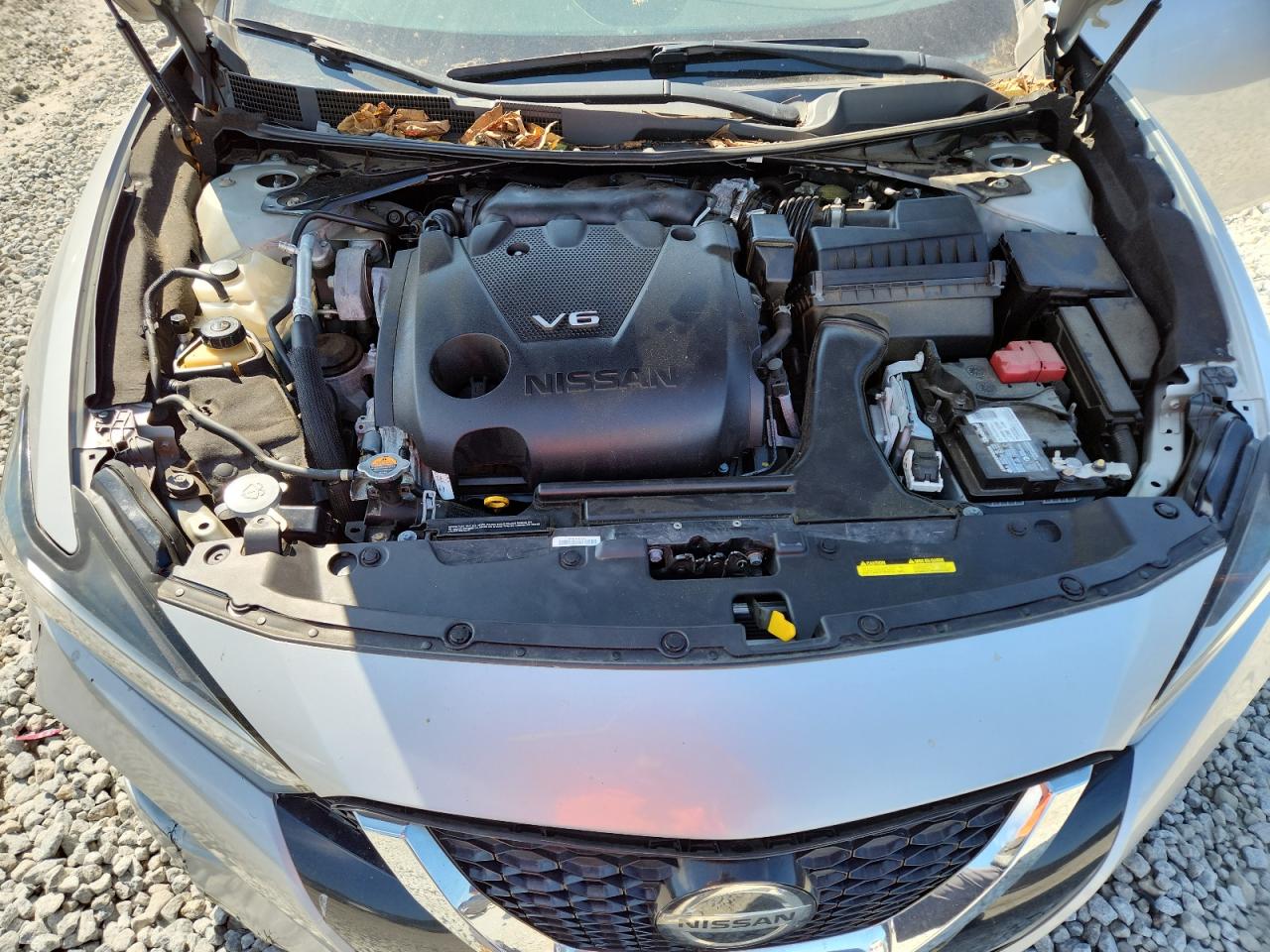 2020 Nissan Maxima Sv VIN: 1N4AA6CV5LC362751 Lot: 80127345