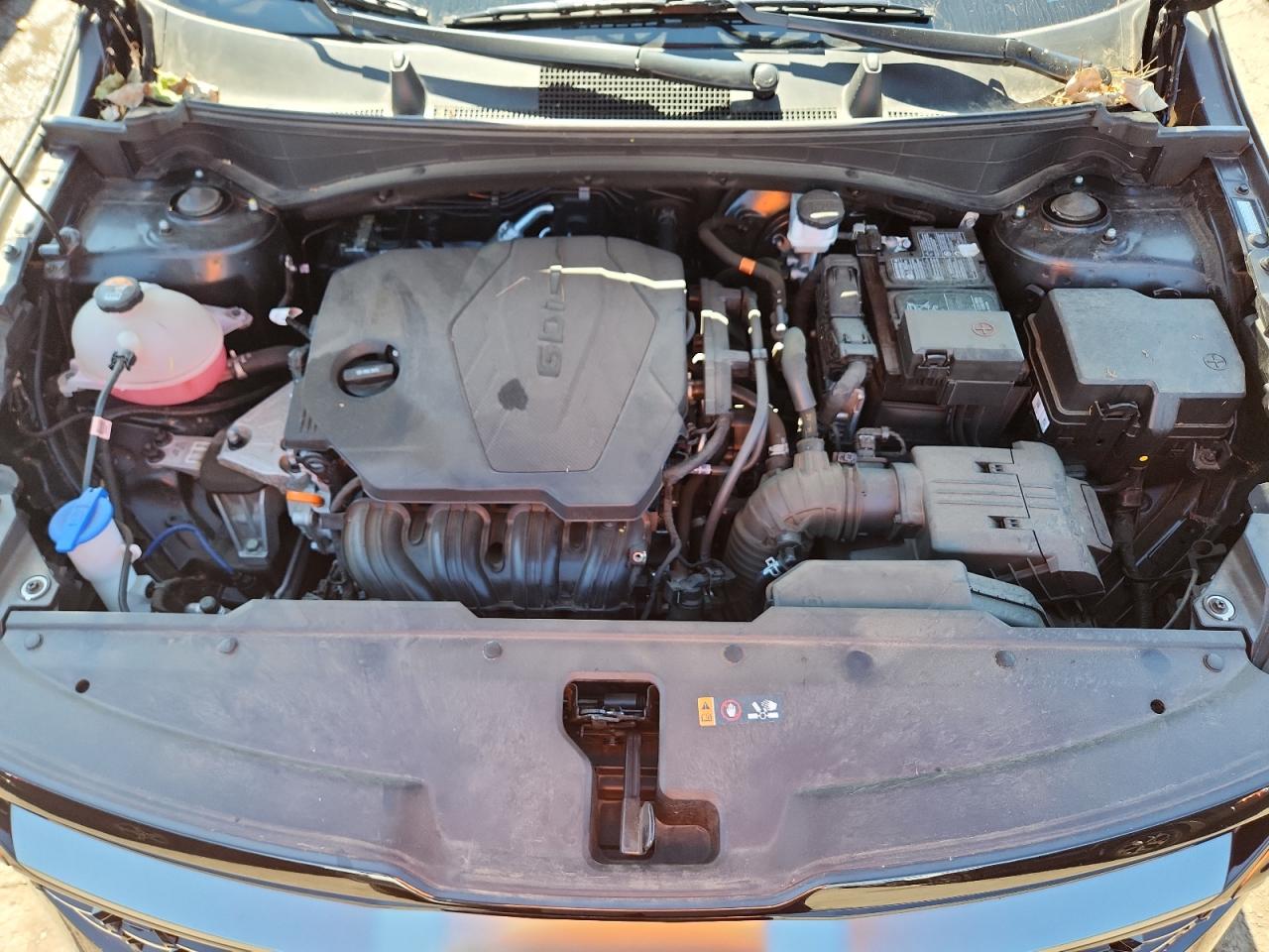 2023 Kia Sportage X Line VIN: 5XYK6CAFXPG101546 Lot: 71249465