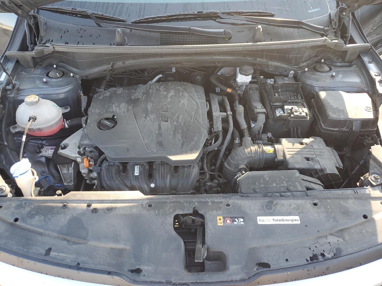 2024 Kia Sportage Lx VIN: KNDPUCDF4R7277922 Lot: 84352725