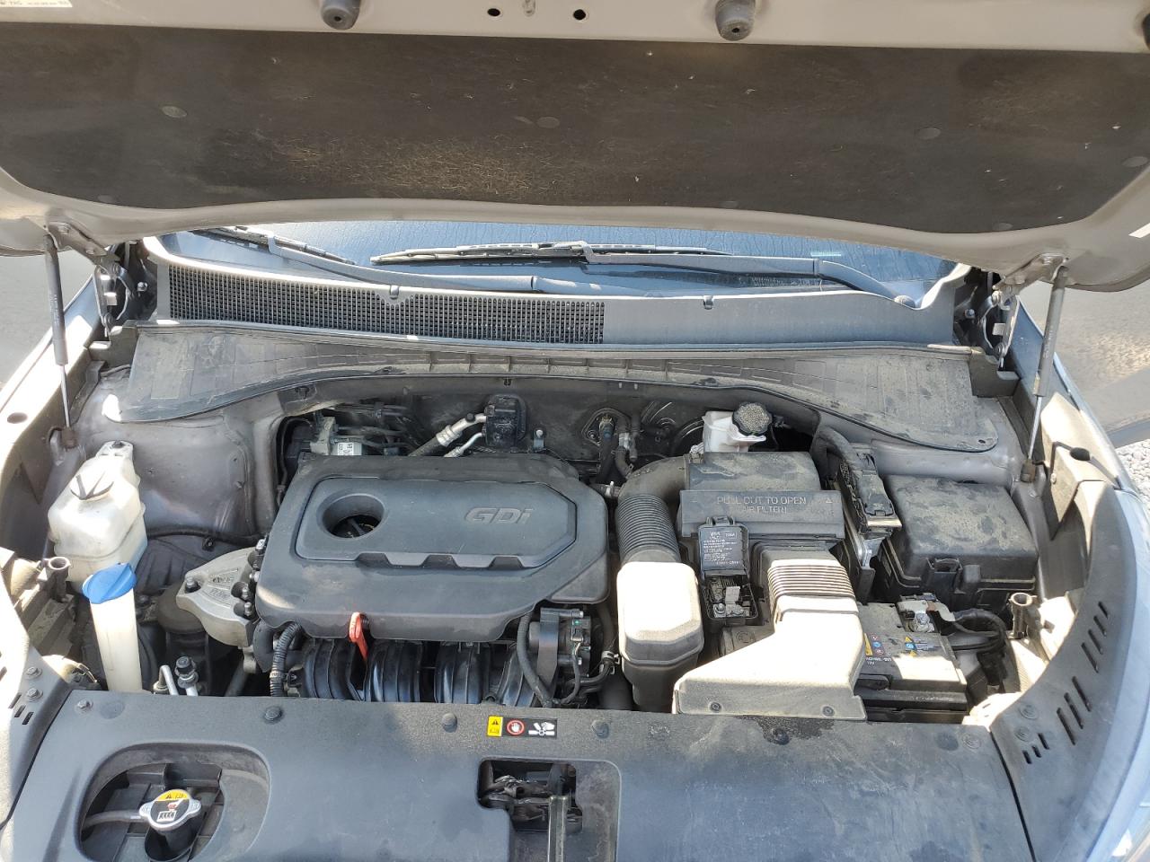 2019 Kia Sorento L VIN: 5XYPG4A32KG547875 Lot: 81717605