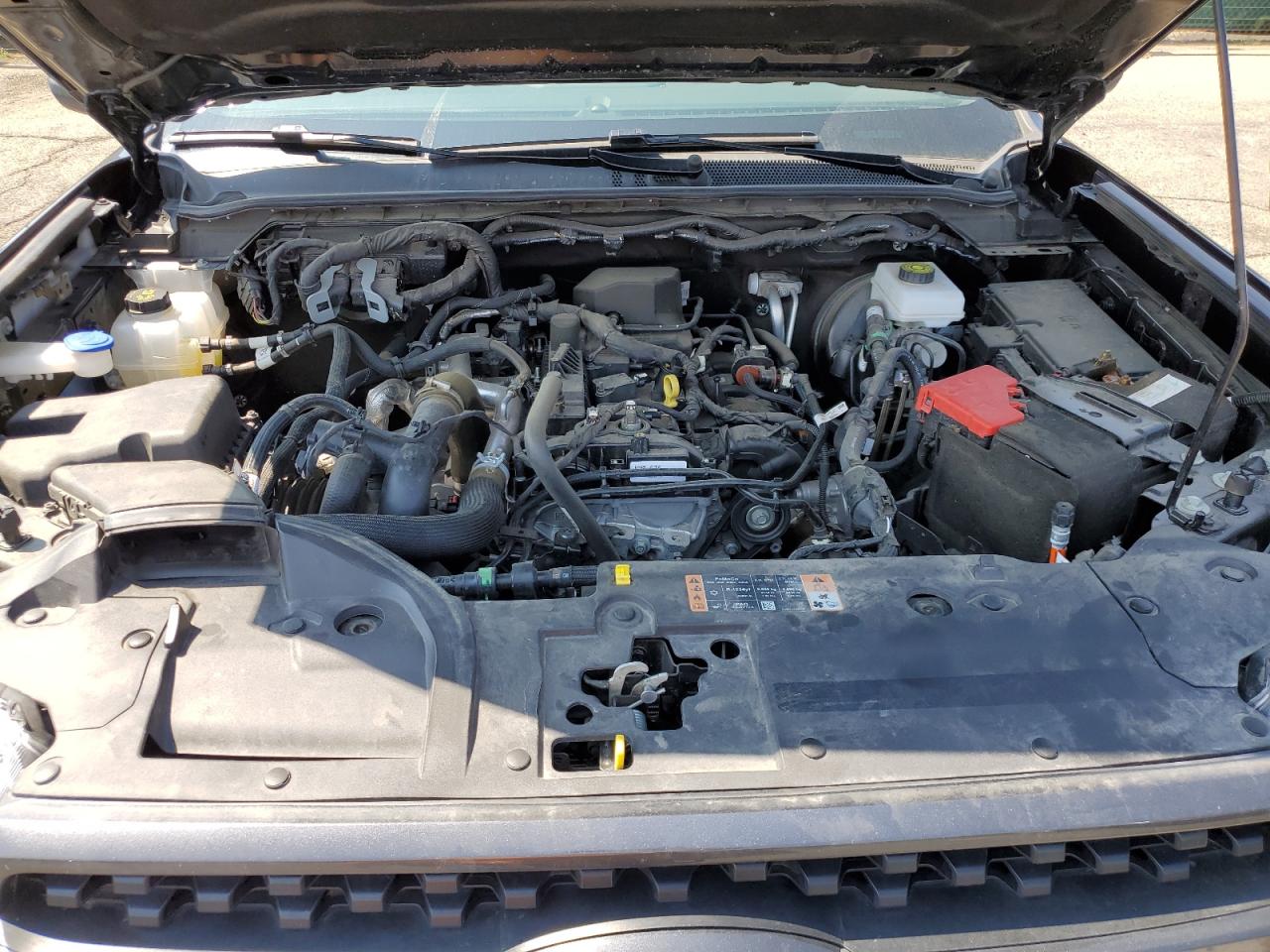 2024 Ford Ranger Xlt VIN: 1FTER4HH5RLE29644 Lot: 71611155