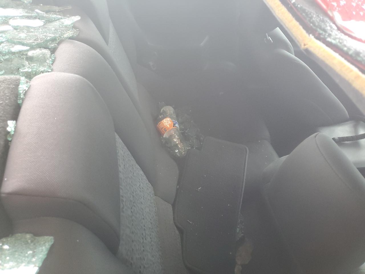 2009 Ford Mustang VIN: 1ZVHT80N995133437 Lot: 81881755