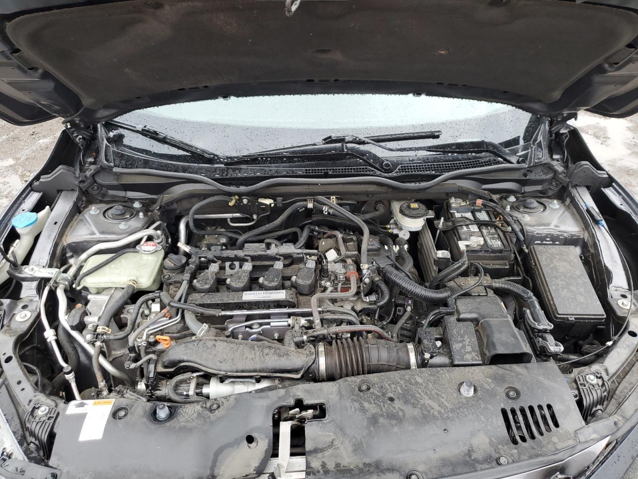 2019 Honda Civic Ex VIN: JHMFC1F32KX011700 Lot: 81350475