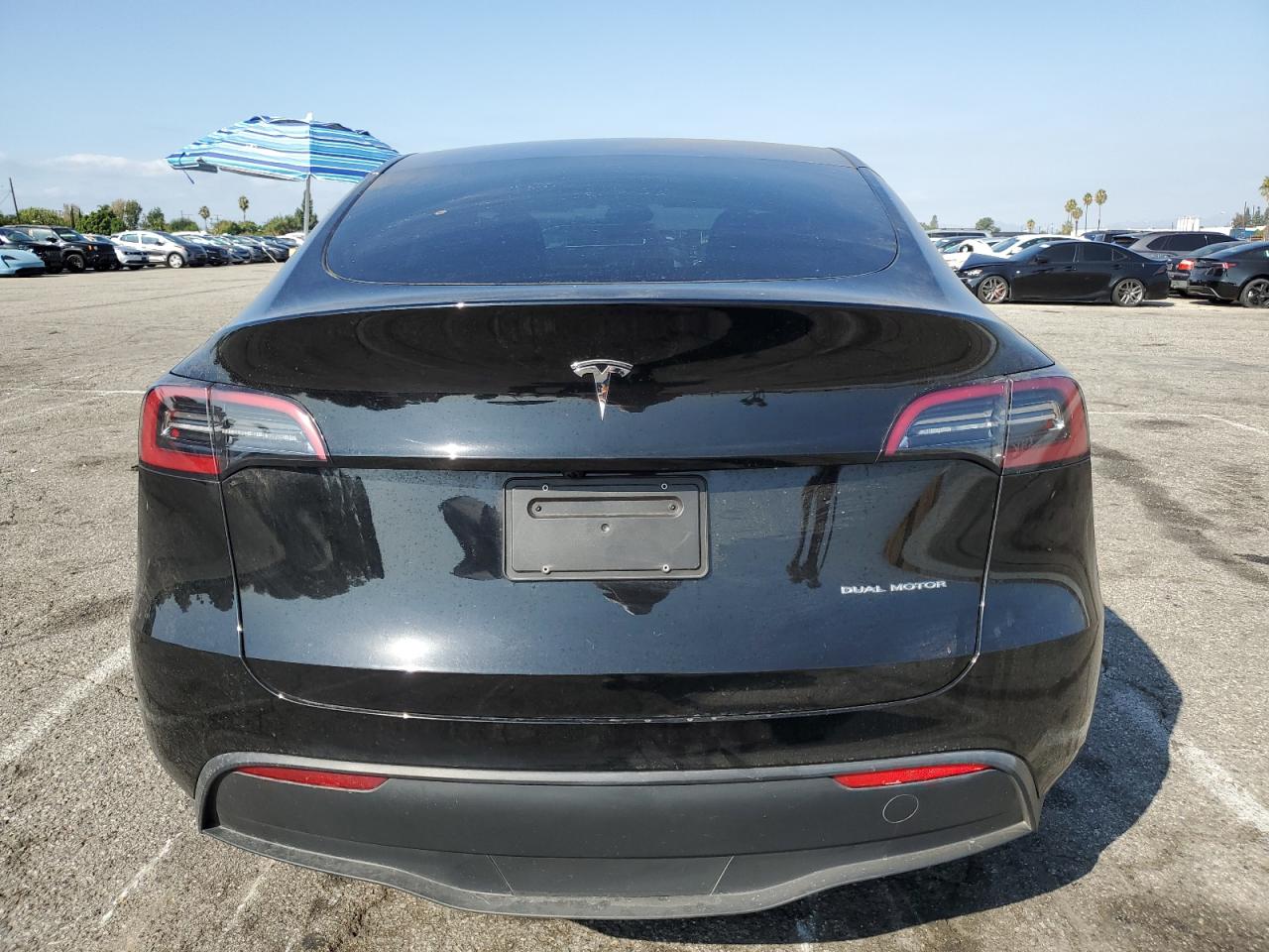 2024 Tesla Model Y VIN: 7SAYGAEE2RF124457 Lot: 81908665