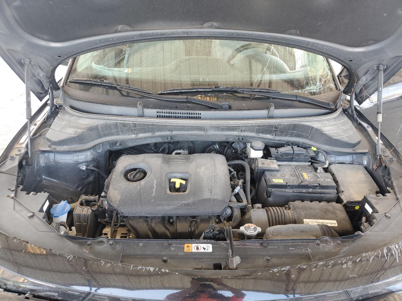 2023 Kia Soul Lx VIN: KNDJ23AU3P7886270 Lot: 80340975