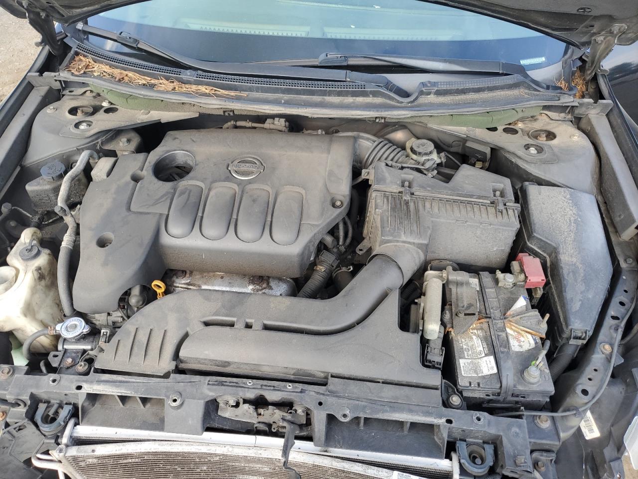 2007 Nissan Altima 2.5 VIN: 1N4AL21E07N454236 Lot: 81302575