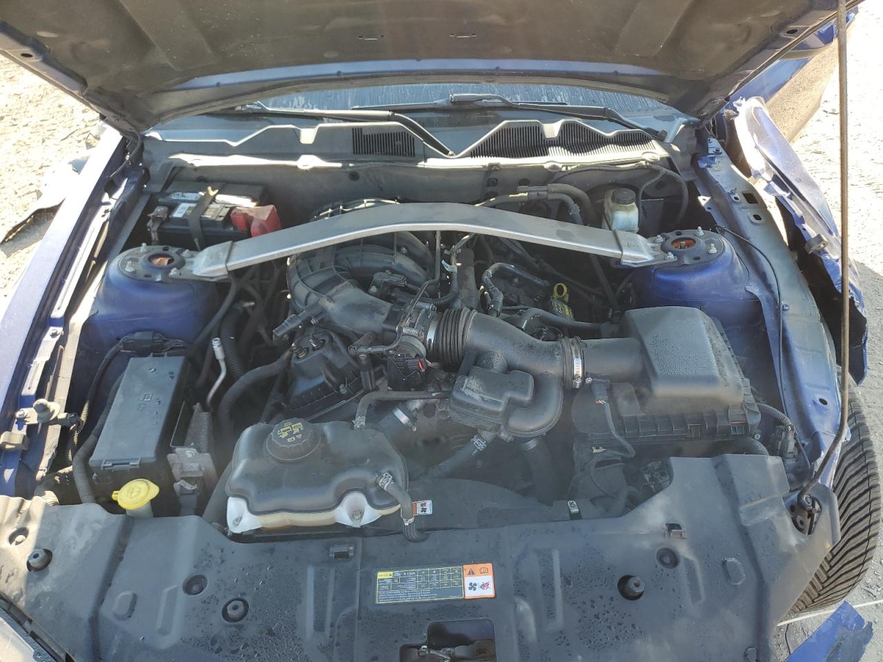 2013 Ford Mustang VIN: 1ZVBP8EM7D5249173 Lot: 80650365