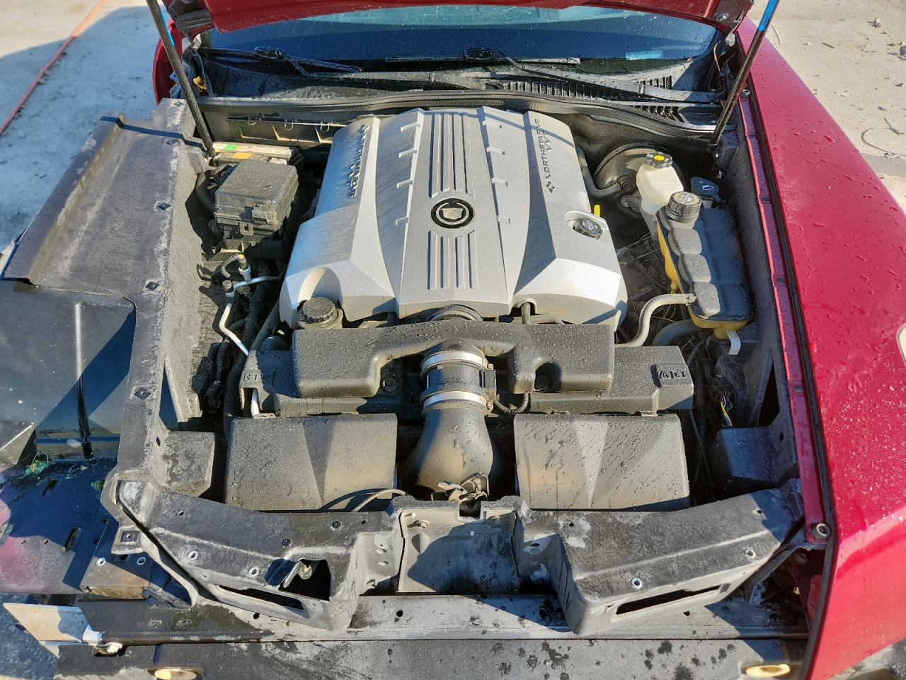 2006 Cadillac Xlr VIN: 1G6YV36A865603167 Lot: 84197845