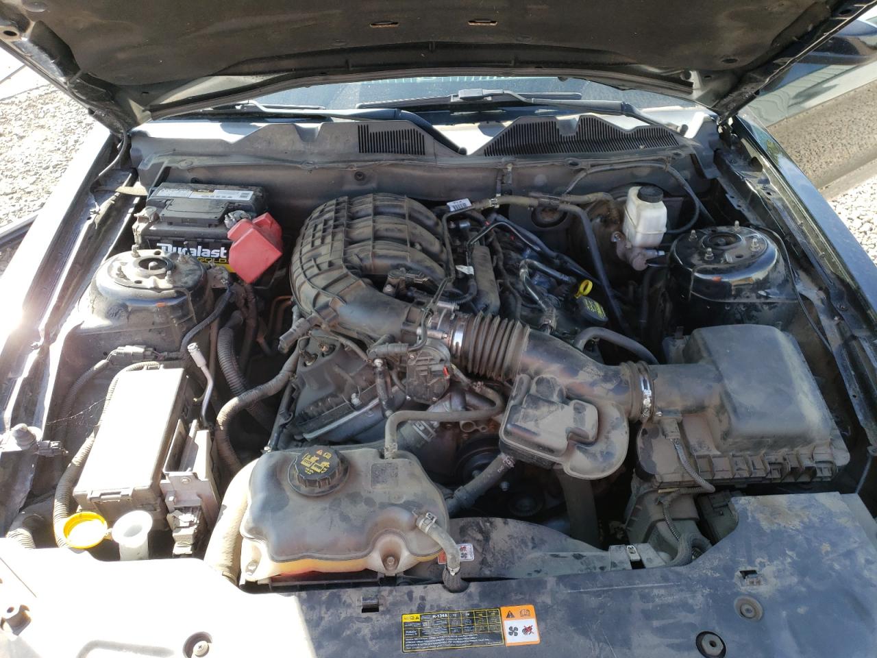 2011 Ford Mustang VIN: 1ZVBP8AM9B5134433 Lot: 80301575