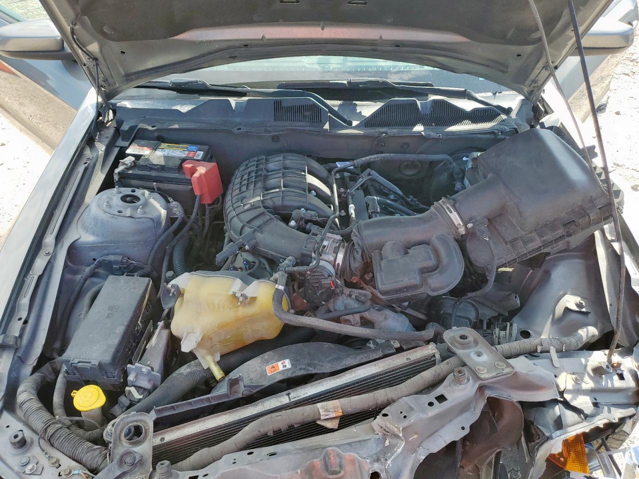 2012 Ford Mustang VIN: 1ZVBP8AM9C5266397 Lot: 80132375