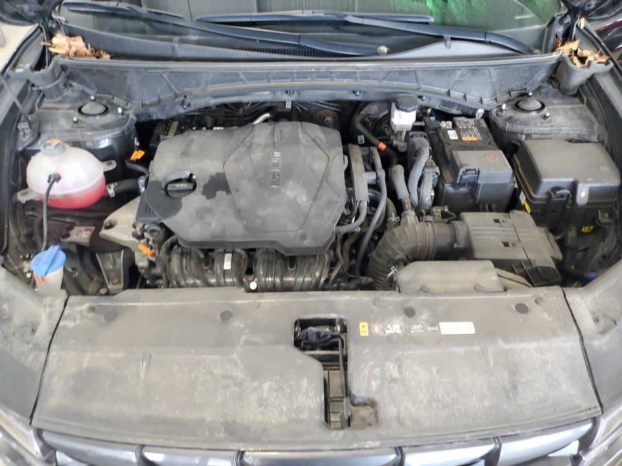 2024 Hyundai Tucson Sel VIN: KM8JBCDE2RU303093 Lot: 81459315