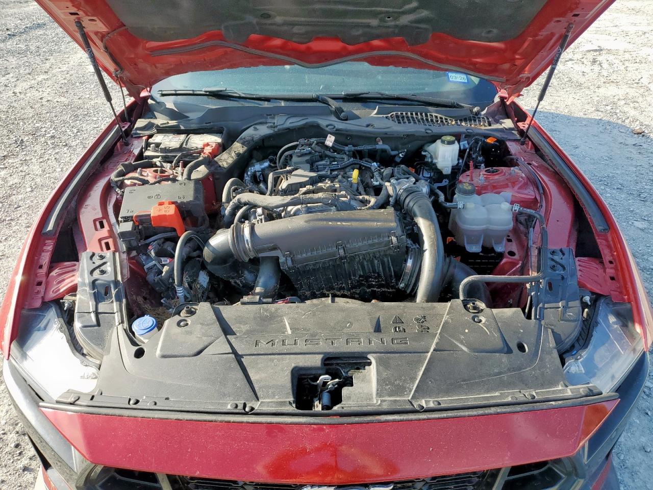 2024 Ford Mustang VIN: 1FA6P8TH1R5126525 Lot: 81888165