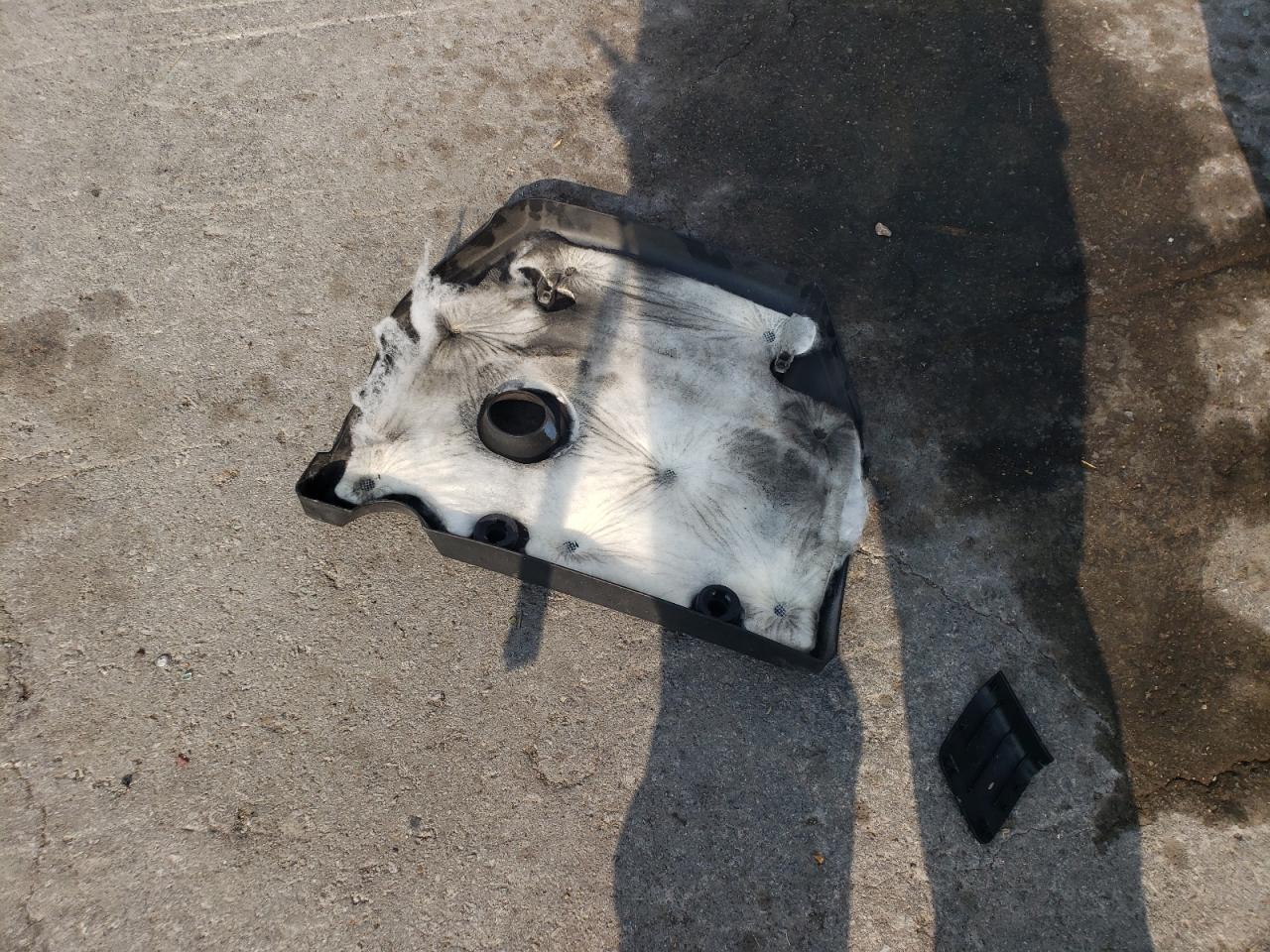 2010 Mazda 3 S VIN: JM1BL1S59A1204810 Lot: 81714805