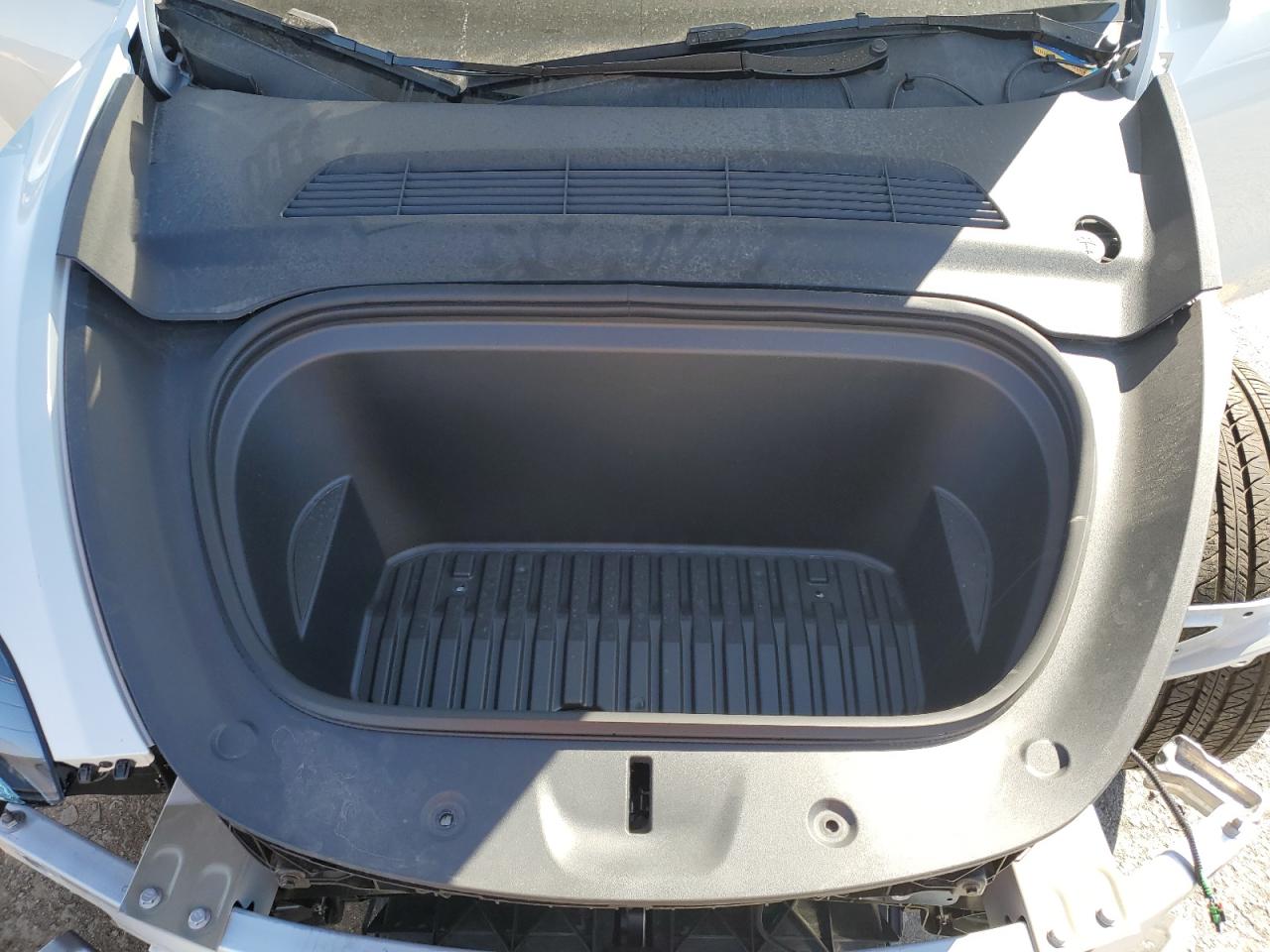 2025 Tesla Model Y VIN: 7SAYGDED0SF317009 Lot: 81334365