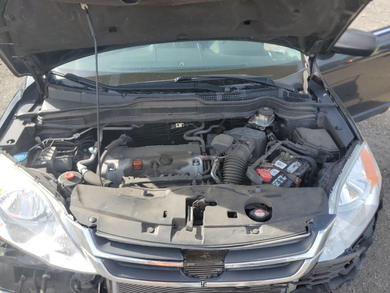 2011 Honda Cr-V Lx VIN: 5J6RE4H30BL086050 Lot: 84462235