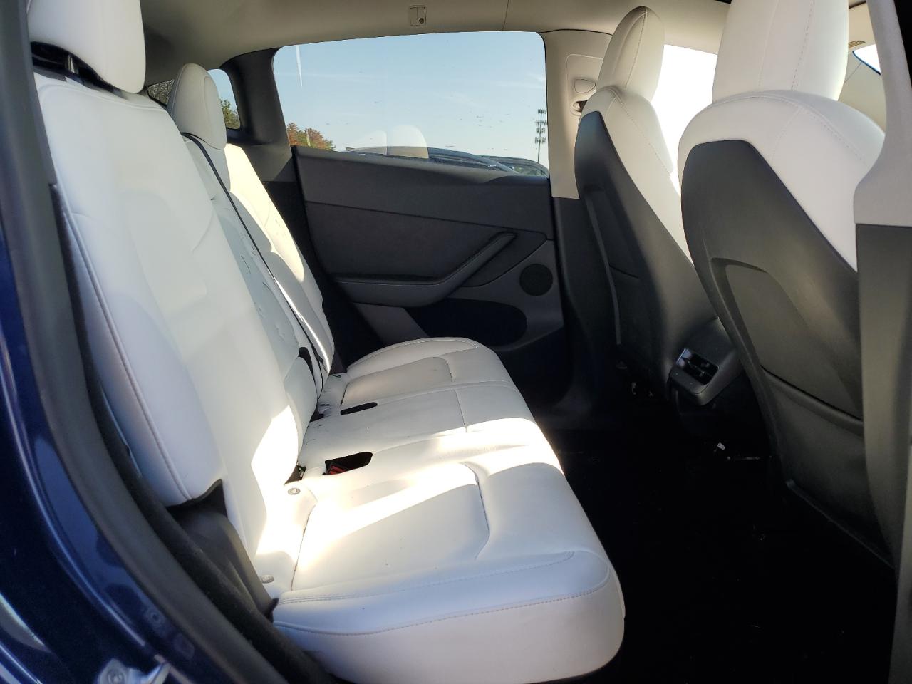 2023 Tesla Model Y VIN: 7SAYGDEE6PF633076 Lot: 81225815