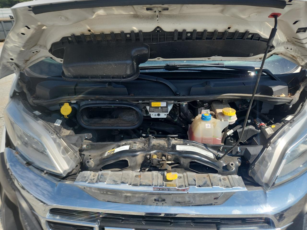 2023 Ram Promaster 2500 2500 High VIN: 3C6LRVDG1PE528453 Lot: 80293425