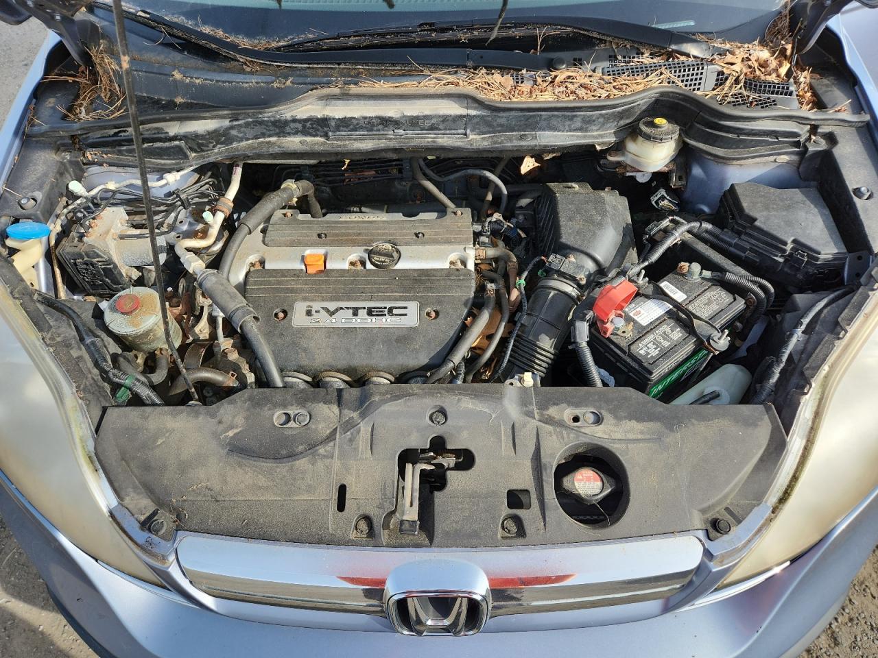 2007 Honda Cr-V Exl VIN: JHLRE48797C044303 Lot: 84542635