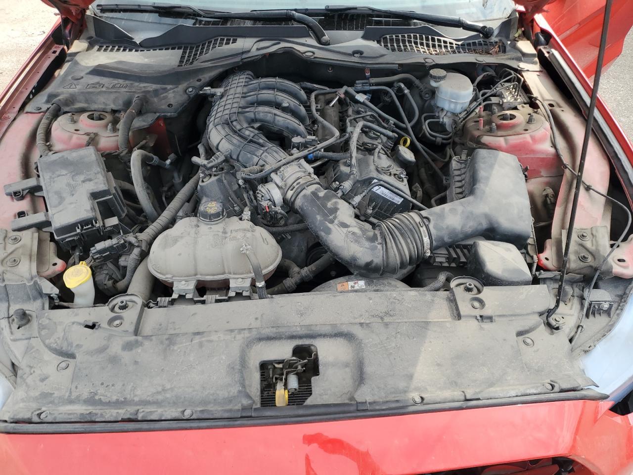 2017 Ford Mustang VIN: 1FA6P8AM5H5294408 Lot: 81370015