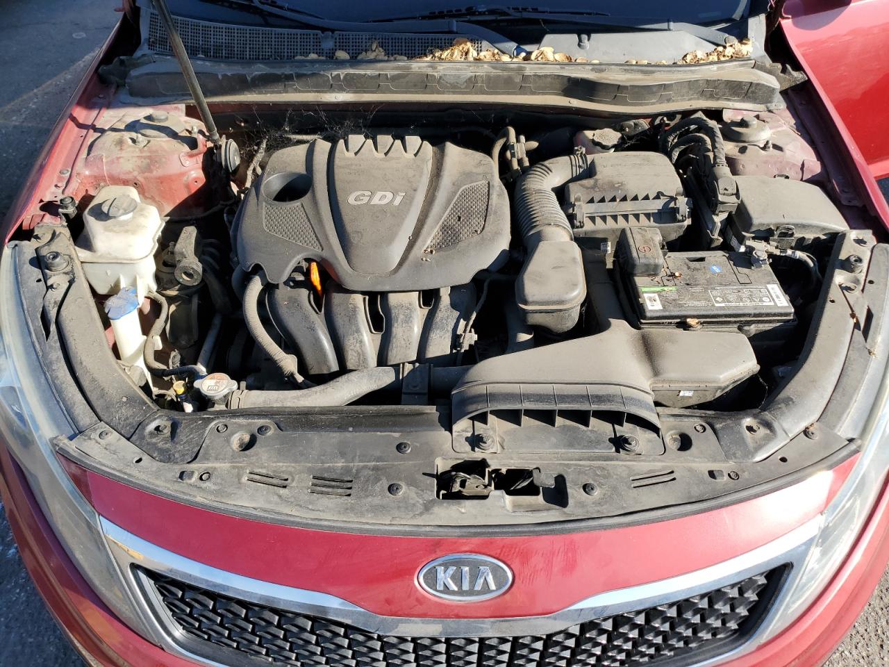 2011 Kia Optima Lx VIN: KNAGM4A75B5172128 Lot: 72066745