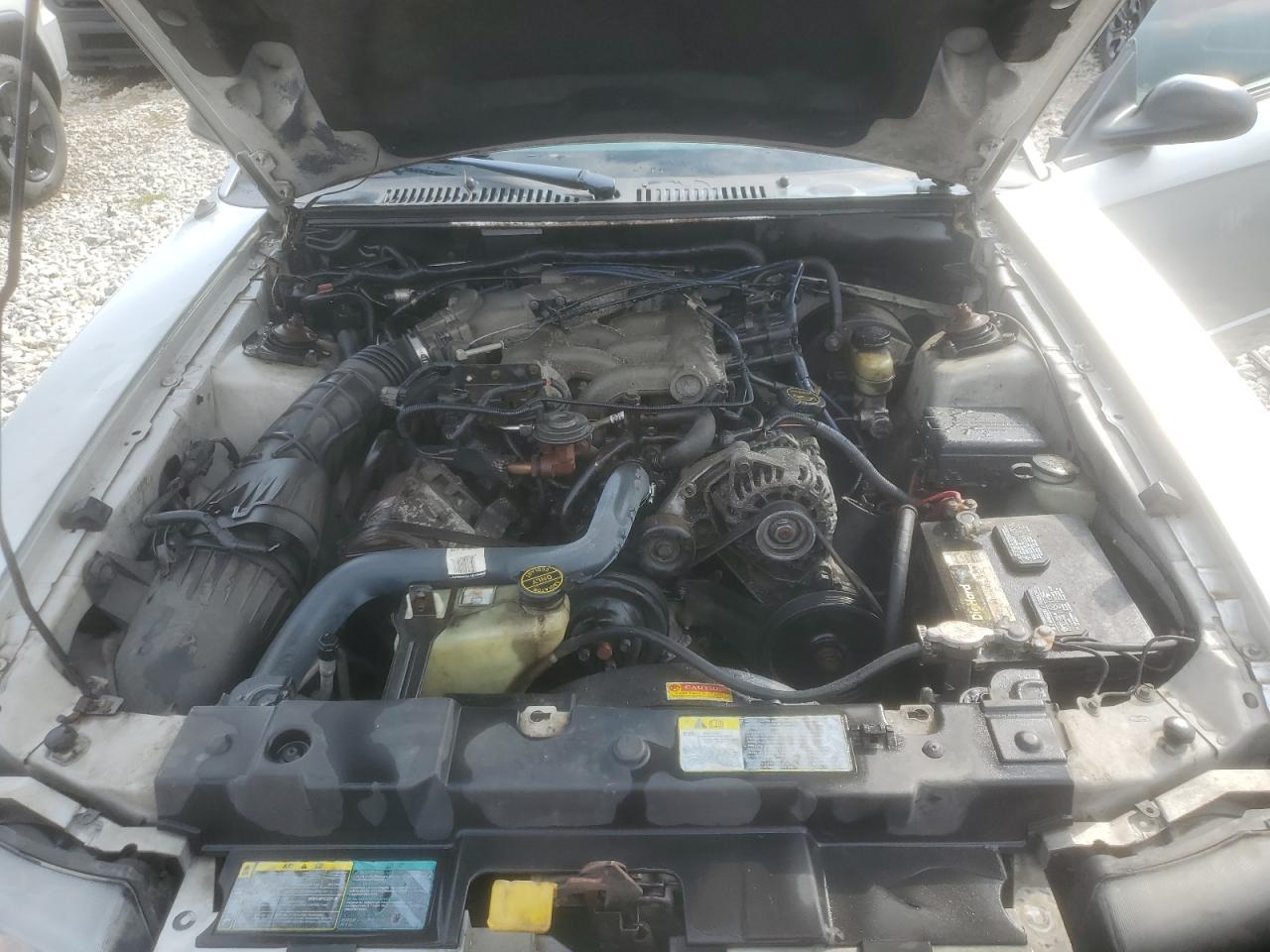 2003 Ford Mustang VIN: 1FAFP44423F398085 Lot: 81375035