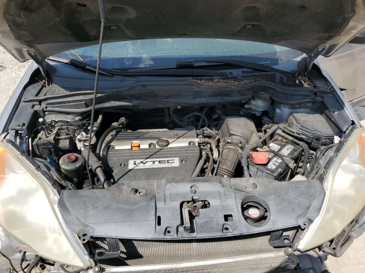 2007 Honda Cr-V Ex VIN: JHLRE38597C071316 Lot: 80182555