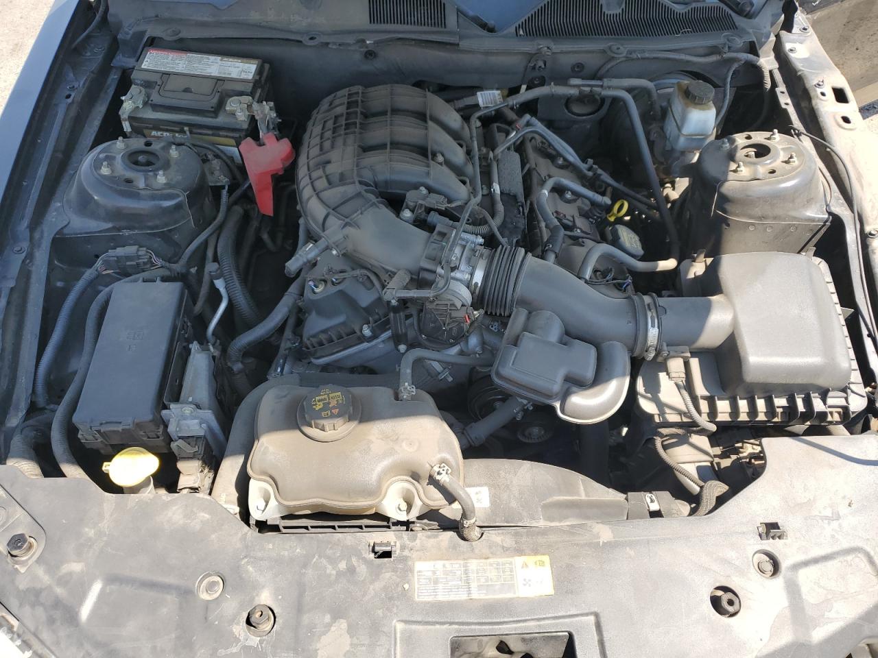 2012 Ford Mustang VIN: 1ZVBP8AM9C5282261 Lot: 71288495