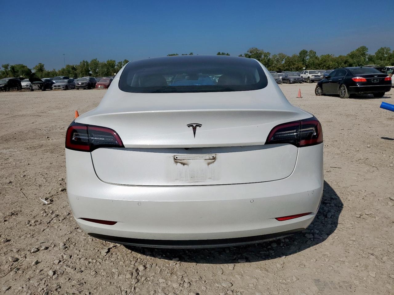 2021 Tesla Model 3 VIN: 5YJ3E1EA5MF919828 Lot: 82138715