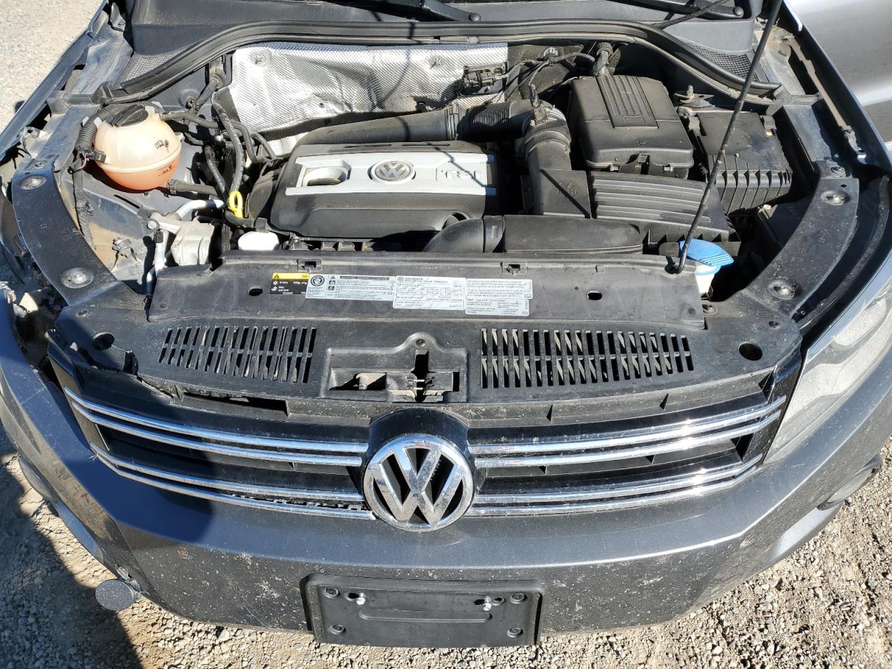 2016 Volkswagen Tiguan S VIN: WVGBV7AX5GW581318 Lot: 81715485