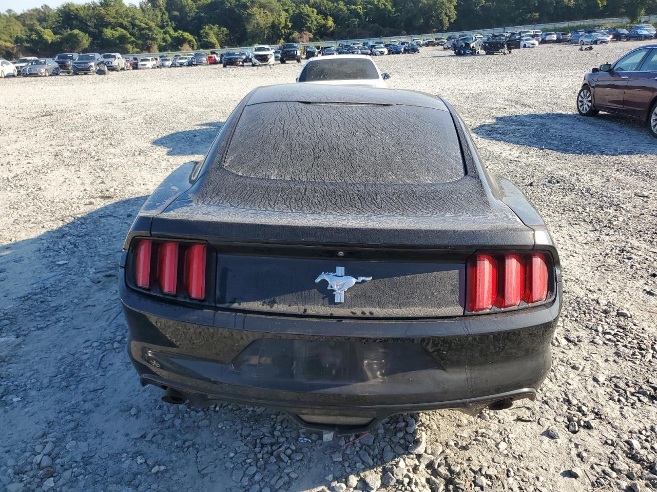 2015 Ford Mustang VIN: 1FA6P8AM6F5373874 Lot: 71000075