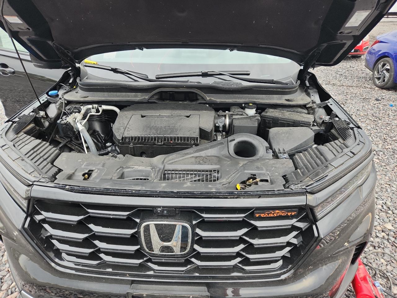 2023 Honda Pilot Trailsport VIN: 5FNYG1H64PB046004 Lot: 81398925