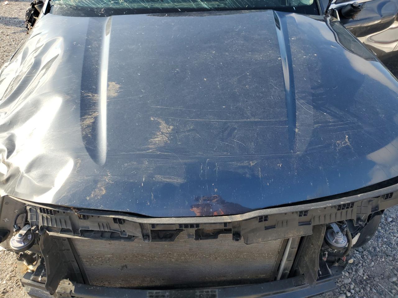 2023 Kia Telluride Ex VIN: 5XYP34GC4PG347235 Lot: 81302055