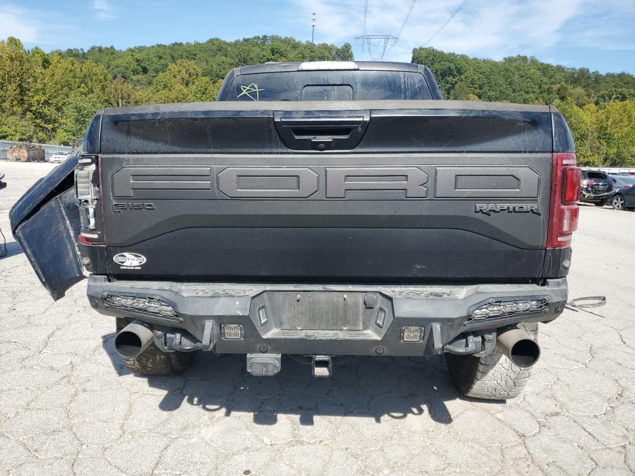 2020 Ford F150 Raptor VIN: 1FTFW1RG6LFB09935 Lot: 80071985
