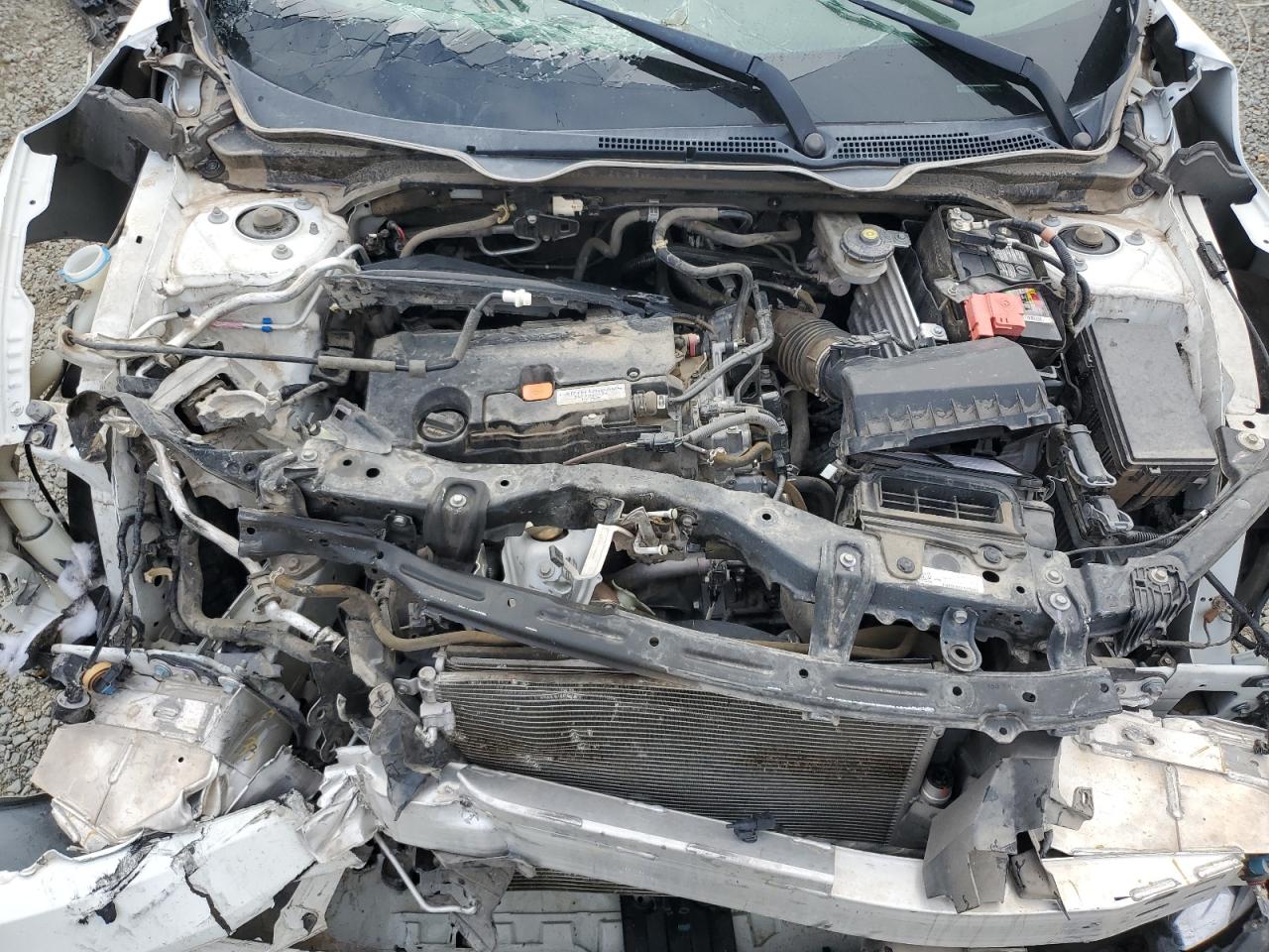 2019 Honda Civic Sport VIN: 19XFC2F85KE210789 Lot: 81301465