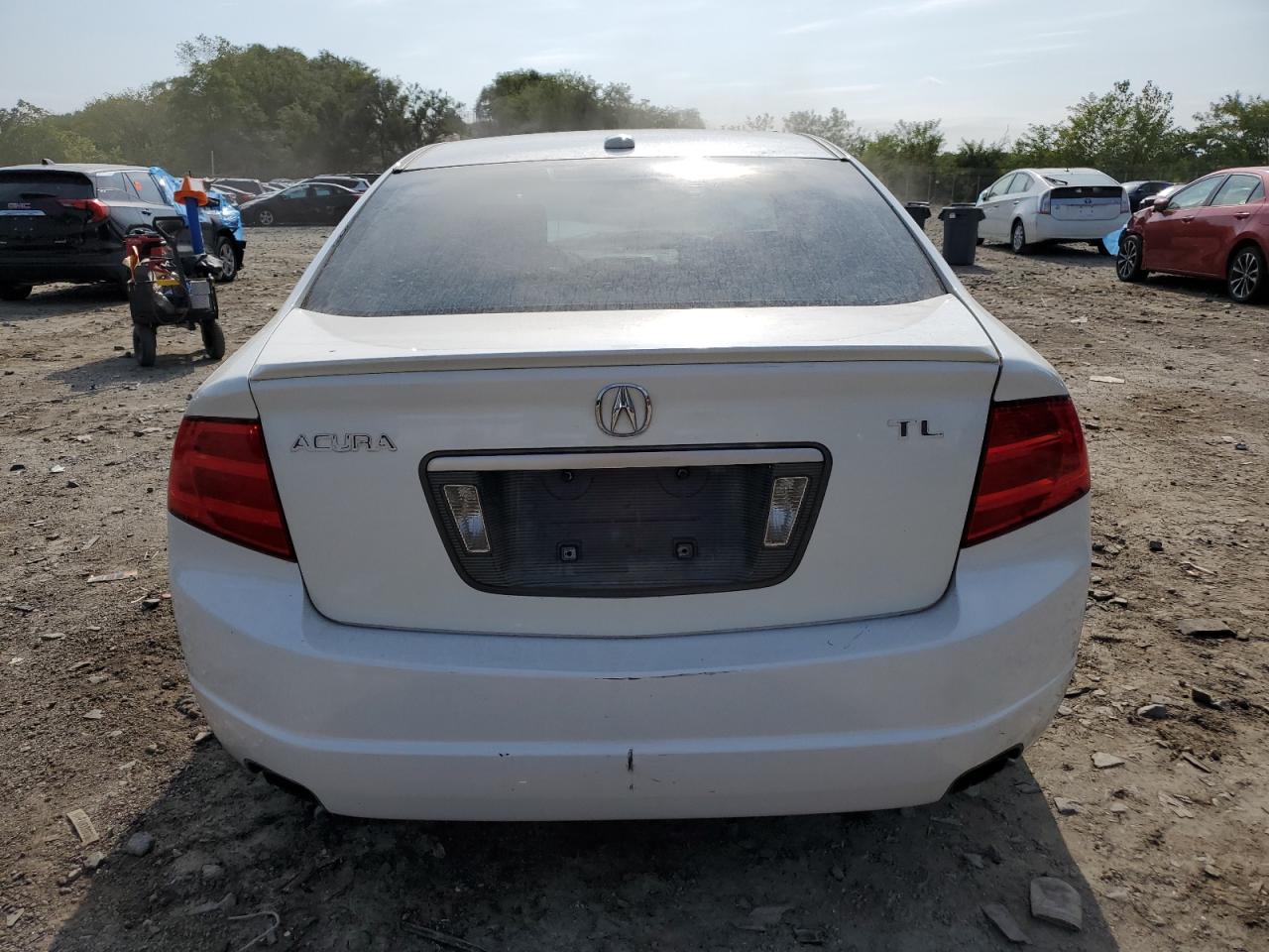 2004 Acura Tl VIN: 19UUA66244A032557 Lot: 81258935