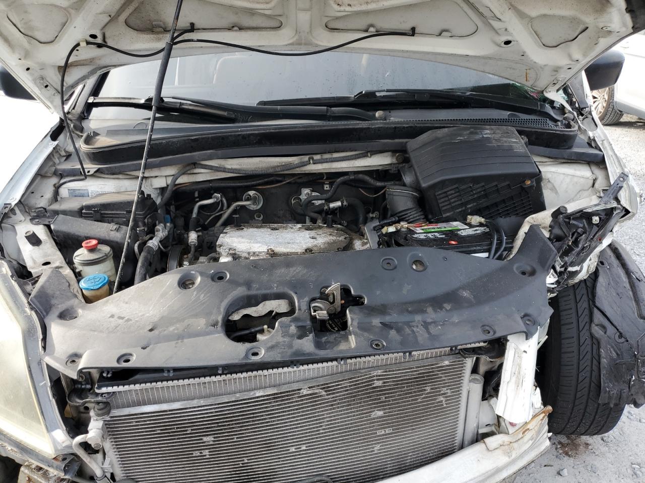 2005 Honda Odyssey Lx VIN: 5FNRL38245B106613 Lot: 81673645