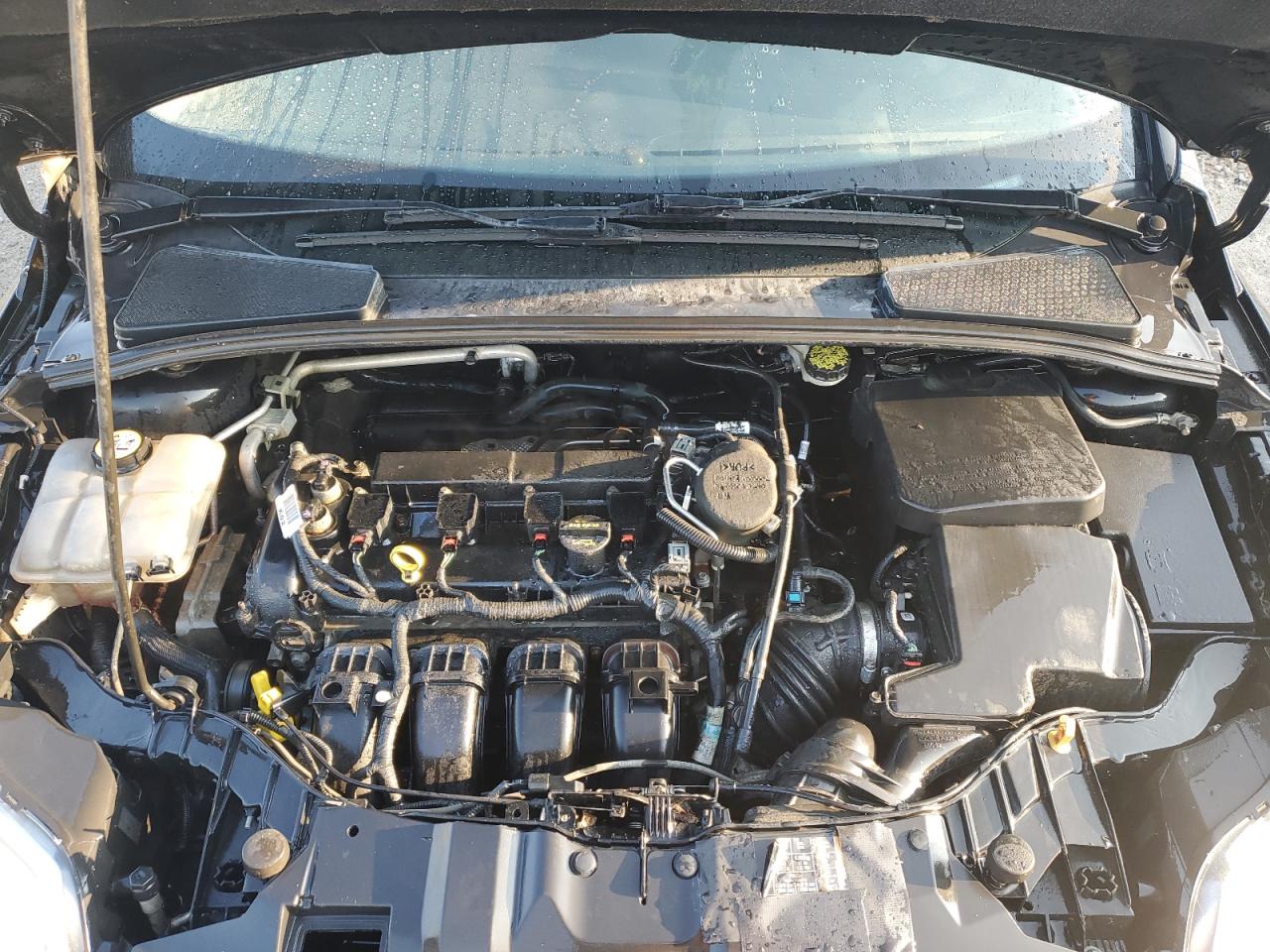 2013 Ford Focus Se VIN: 1FADP3F22DL122571 Lot: 81052405