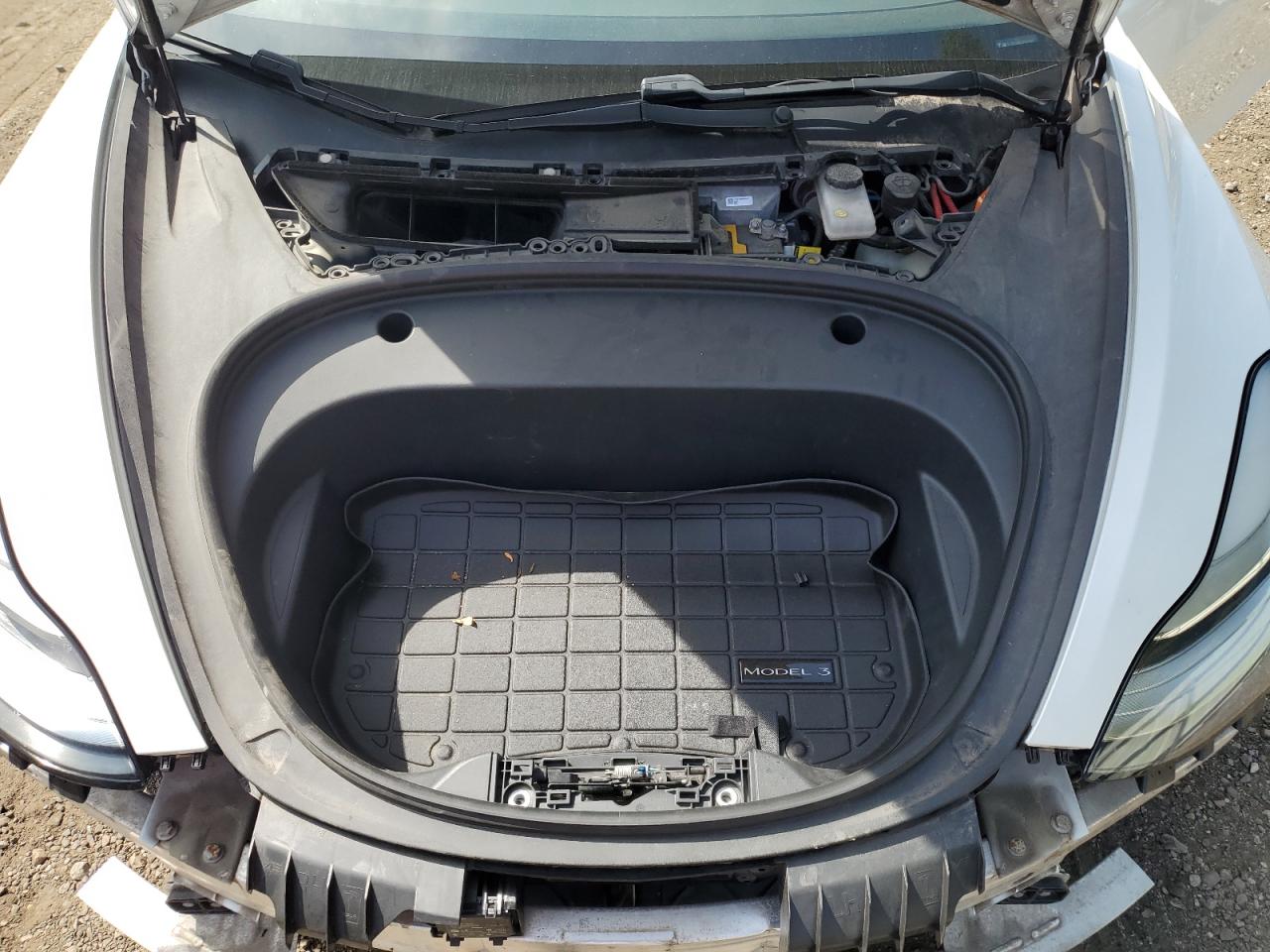 2020 Tesla Model 3 VIN: 5YJ3E1EB5LF787256 Lot: 80494835