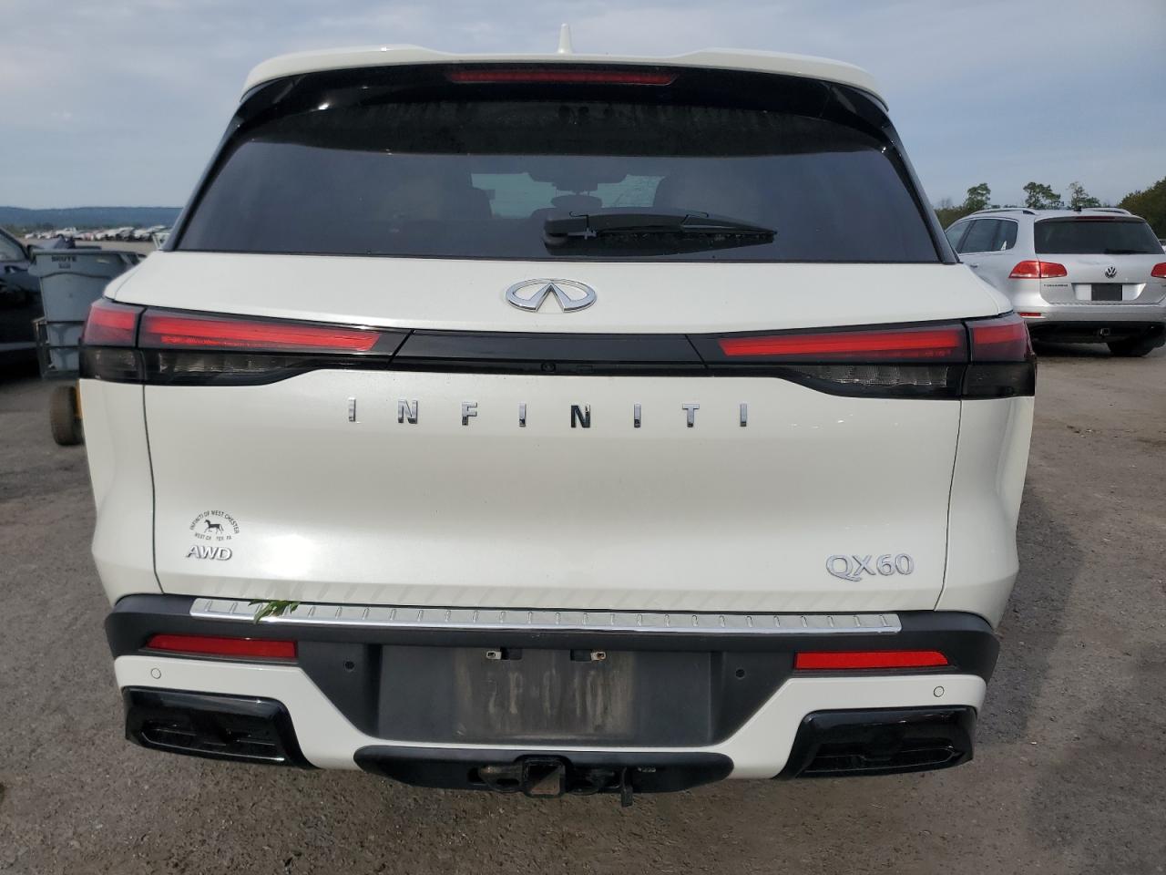 2023 Infiniti Qx60 Luxe VIN: 5N1DL1FS3PC345213 Lot: 80549725