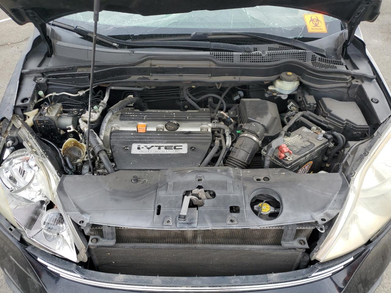 2007 Honda Cr-V Exl VIN: JHLRE38747C042761 Lot: 81273405