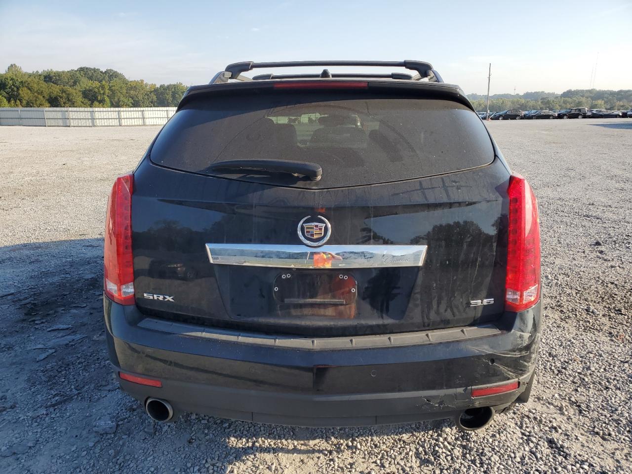 2013 Cadillac Srx Premium Collection VIN: 3GYFNEE31DS594120 Lot: 81716445