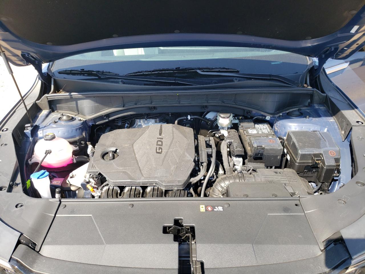 2025 Kia Sorento S VIN: 5XYRLDJC0SG341443 Lot: 80713355